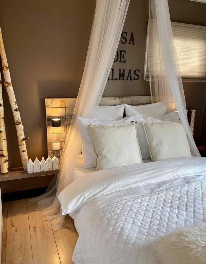 Casa De Palmas - Tiny House Villa Alkmaar Ngoại thất bức ảnh