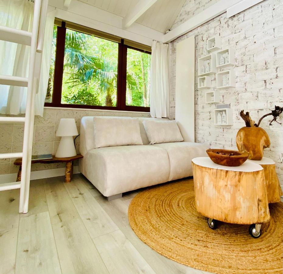Casa De Palmas - Tiny House Villa Alkmaar Ngoại thất bức ảnh