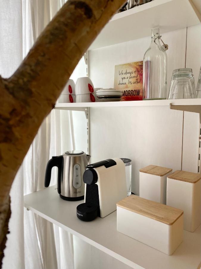 Casa De Palmas - Tiny House Villa Alkmaar Ngoại thất bức ảnh
